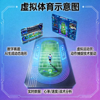 虛擬體育示意圖